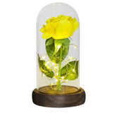 Beauty And The Beast Preserved Roses In Glass