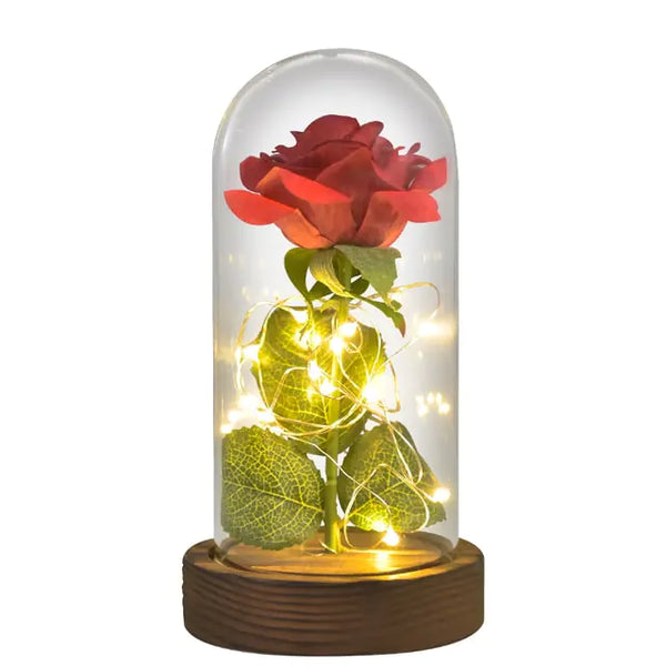 Beauty And The Beast Preserved Roses In Glass