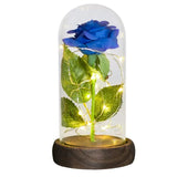 Beauty And The Beast Preserved Roses In Glass