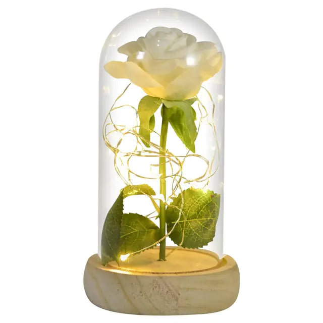 Beauty And The Beast Preserved Roses In Glass