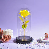 Beauty And The Beast Preserved Roses In Glass